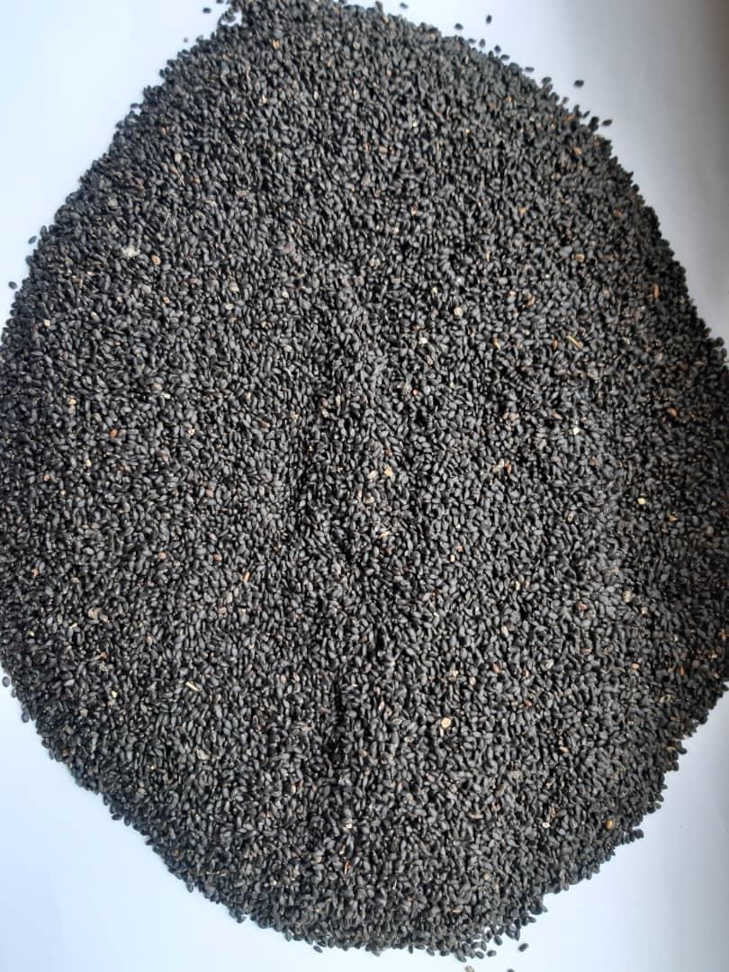 Black Basil Seeds