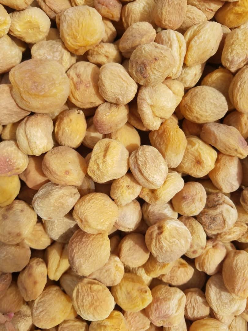 Dried Apricots 9