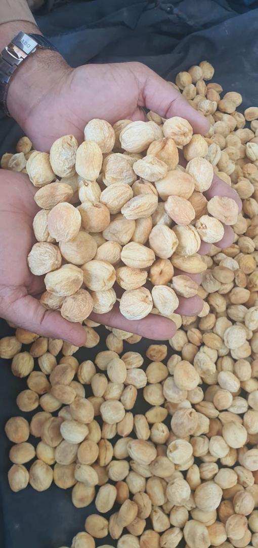 Dried Apricots In Hands 2