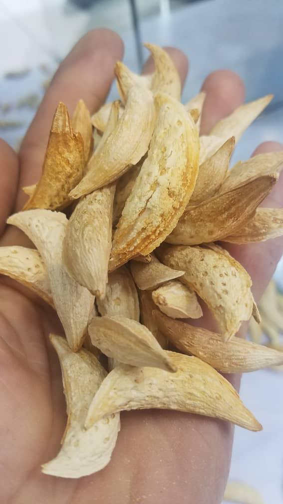 Dried Fruit Slices In Hand