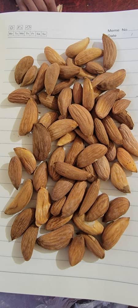 Raw Almonds