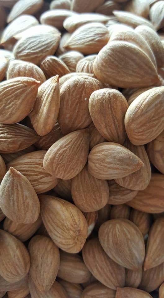 Shelled Almonds 3