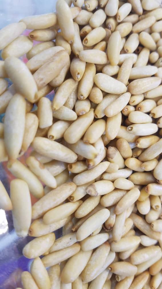 Shelled Pine Nuts 3