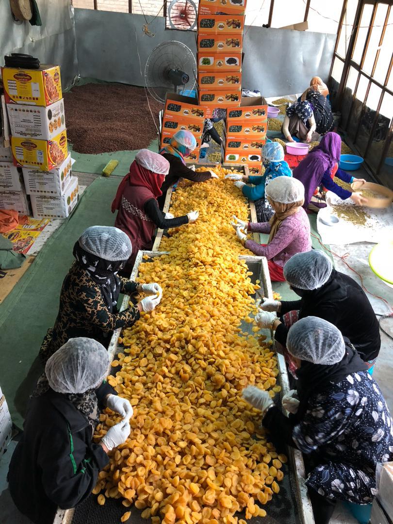 Dry Fruit Processing